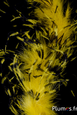 Autruche mèche  - 10 cm - jaune-noir